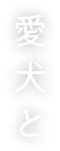 愛犬と