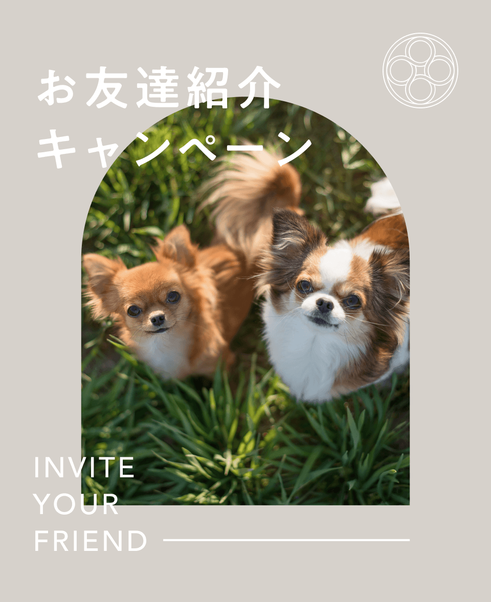 お友達紹介キャンペーン